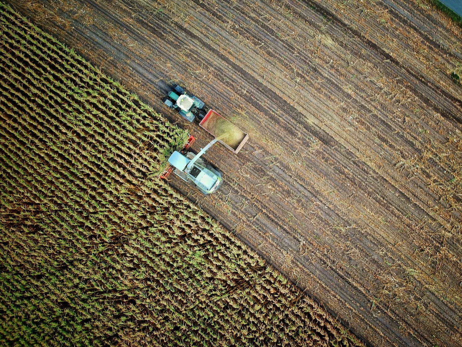 Partnering with Farms to Unlock Economic Growth