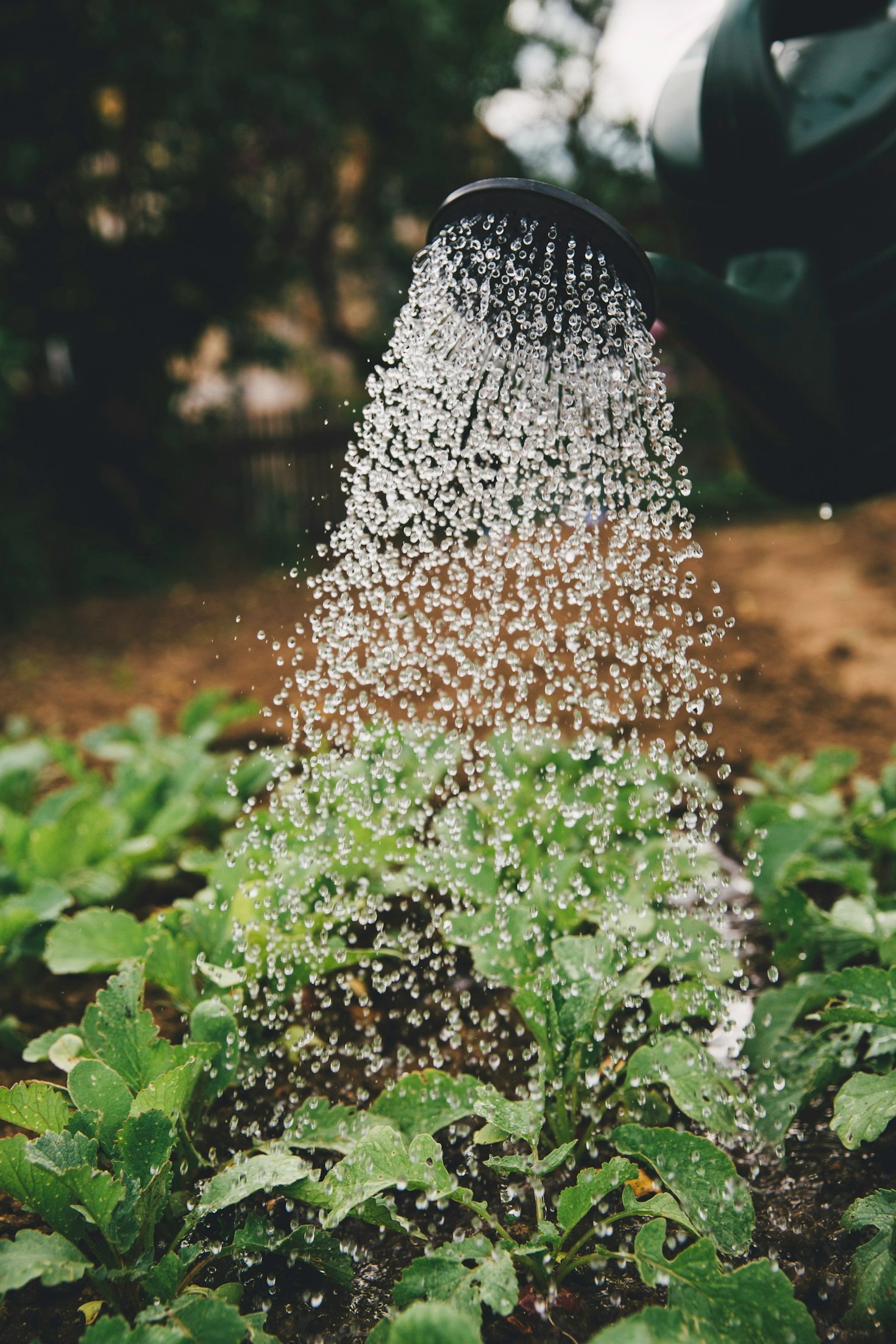 The Future of Agricultural Tech: Trends to Watch